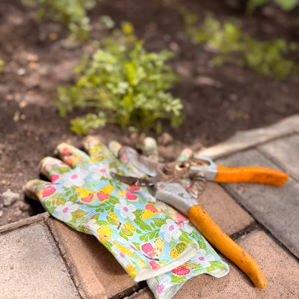 eczema and gardening