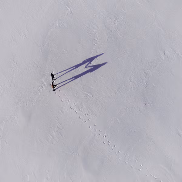 eczema tracking tools