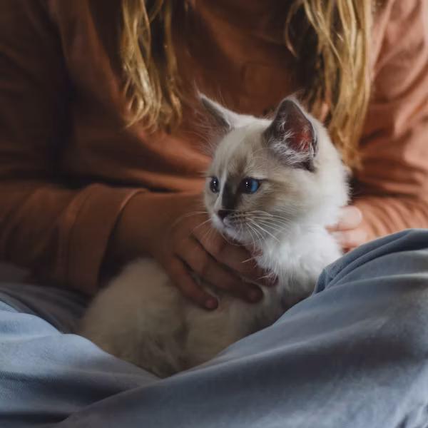 eczema with pets