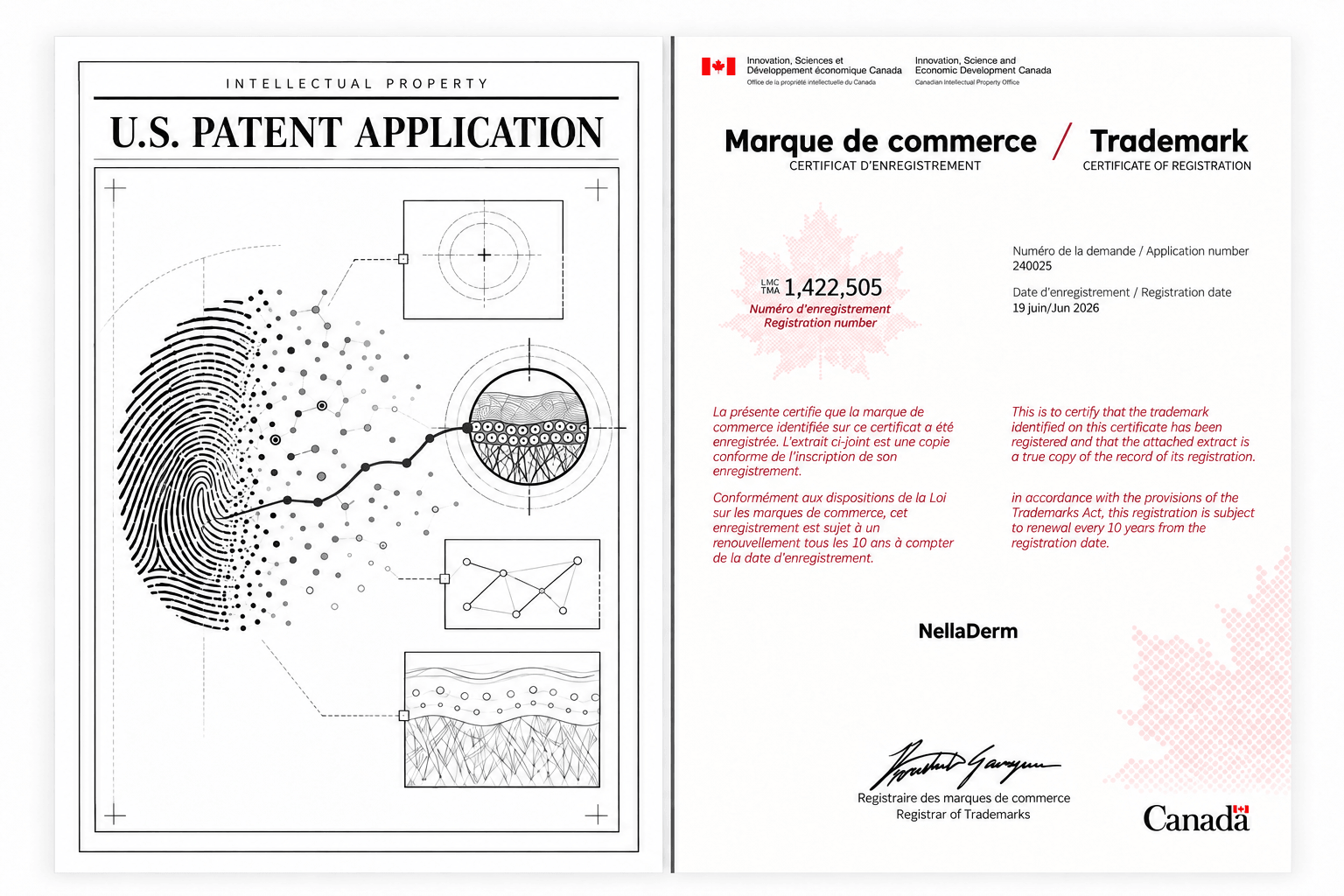 NellaDerm intellectual property documents